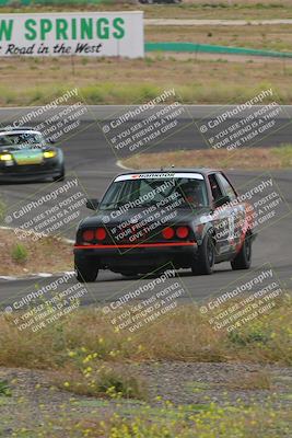 media/May-04-2024-Lucky Dog Racing (Sat) [[d39539b3f3]]/Race Pics/1230pm (Turn 4a)/